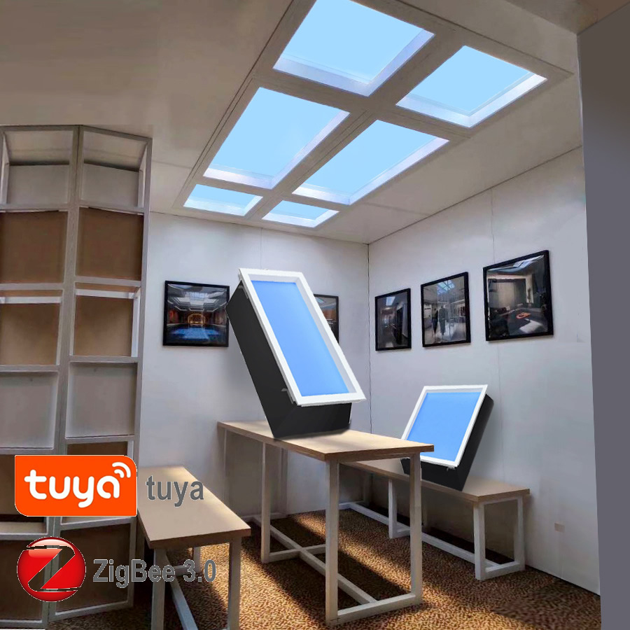 Smart Home Simulation - Zigbee Tuya LEDダウンライト スカイライト キッチン 浴室