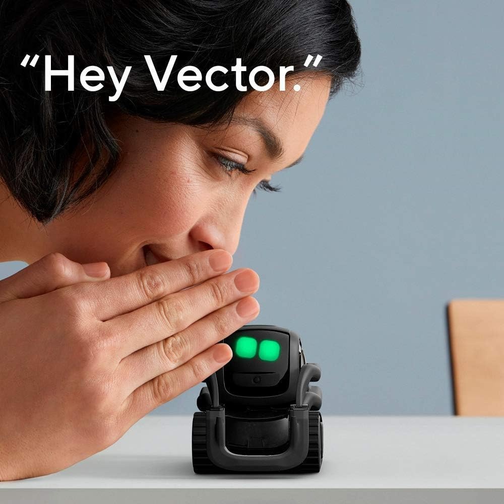 AI ChatGPT 2.0接続ロボットコンパニオン、顔認識 - Smart Home Ai のレビューと価格