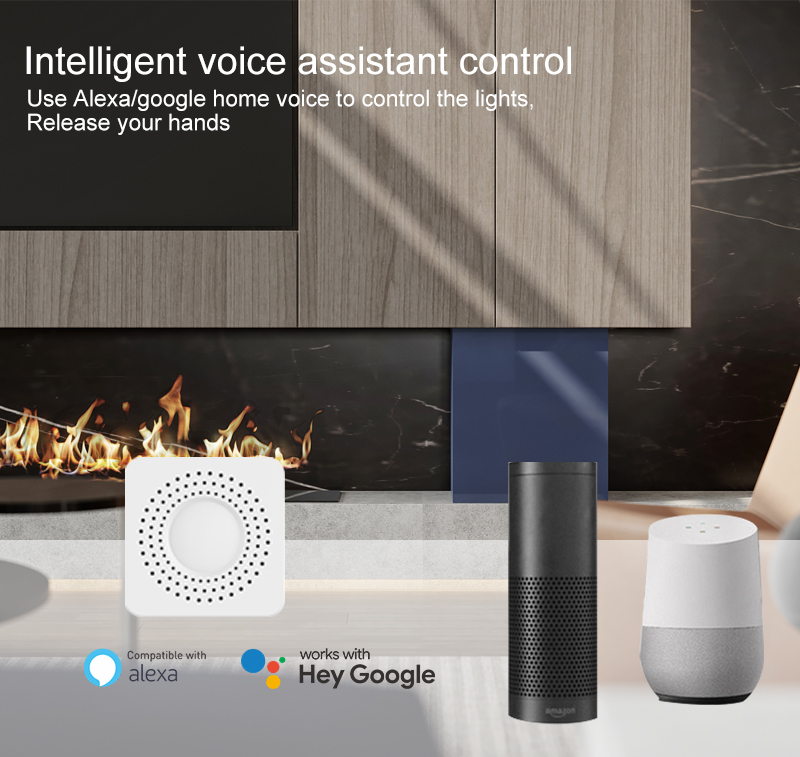Tuyaミニスマートスイッチ WiFi 1-2-3-4連スイ - Smart Home Voice Assistant のレビューと価格